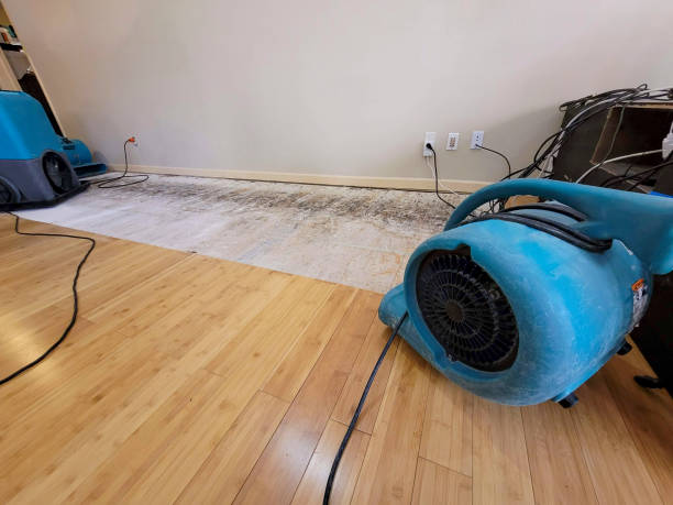 Professional Flood Damage Cleanup technician working in Ashville, OH